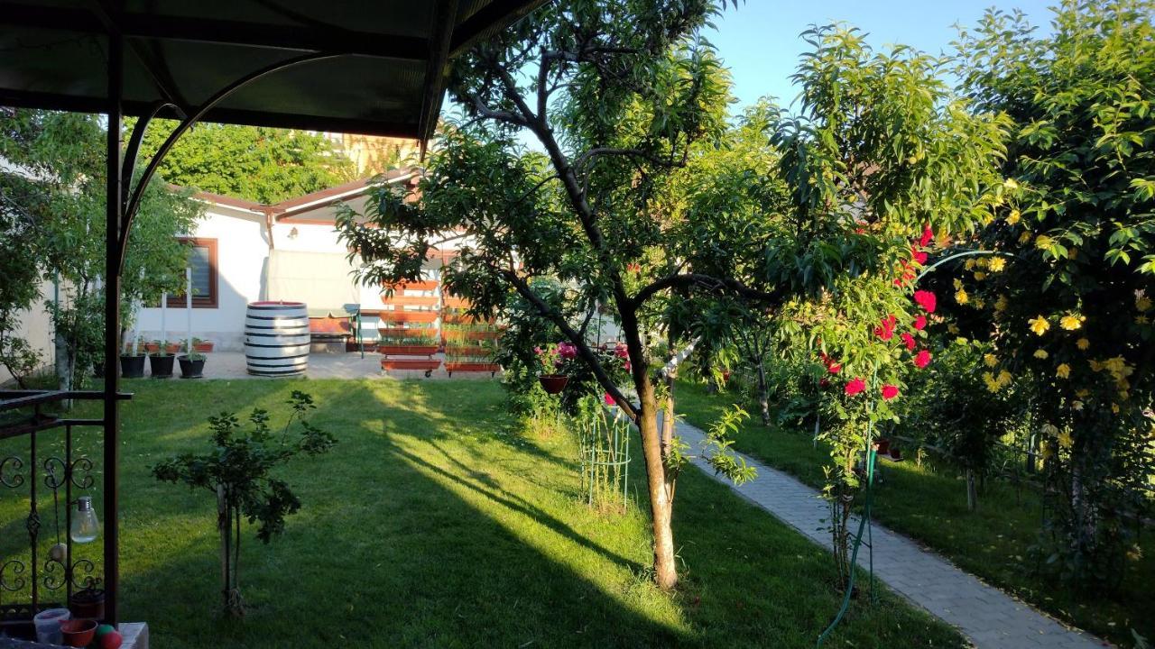 Casa Ienciu Lägenhet Sibiu Exteriör bild
